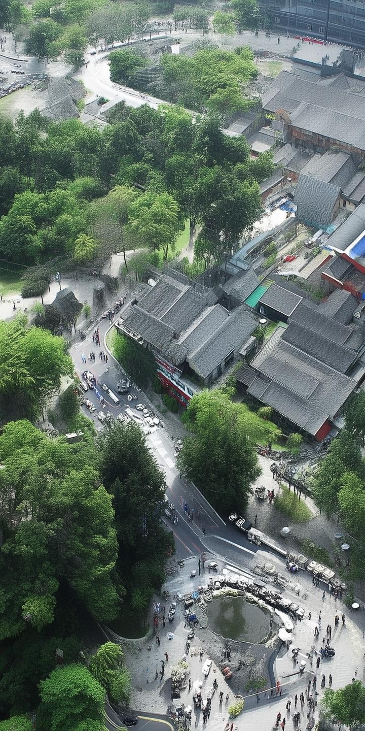 樊振东加盟德甲联赛全攻略